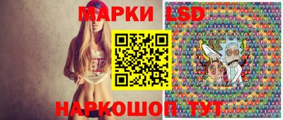 гидропоника Новозыбков