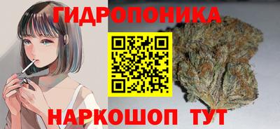 сатива Новодвинск