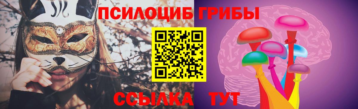 Галлюциногенные грибы Magic Shrooms Вологда
